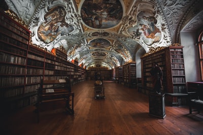 图书馆的照片与宗教压花天花板
